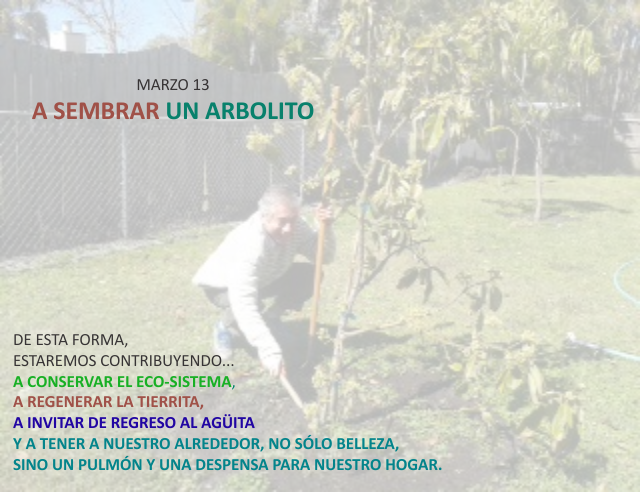 A sembrar un arbolito